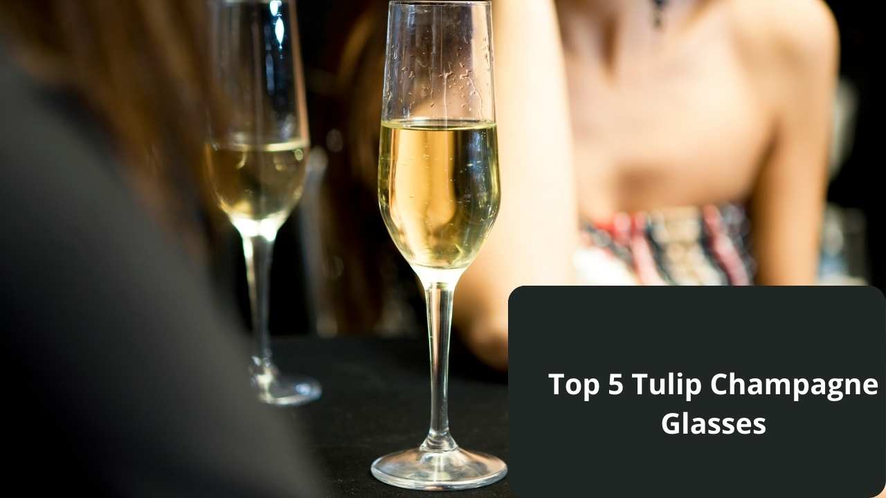 Best Tulip Champagne Glass to Buy