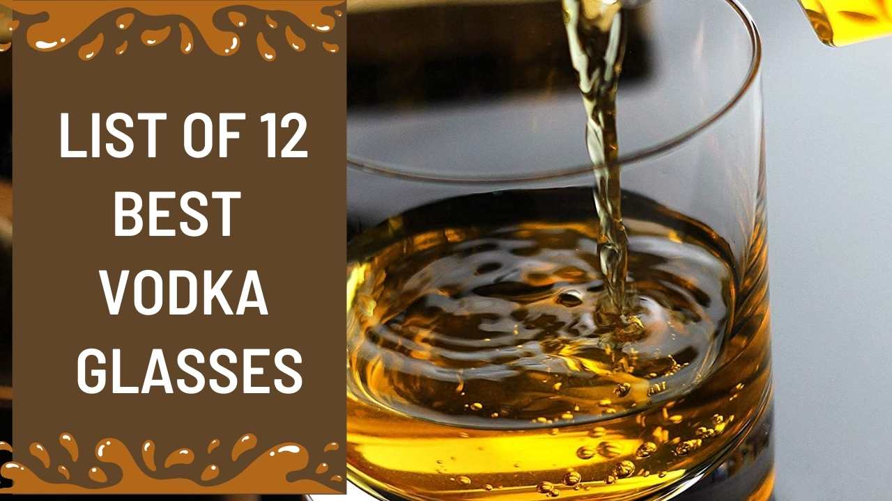 List of 12 Best Vodka Glasses(1)