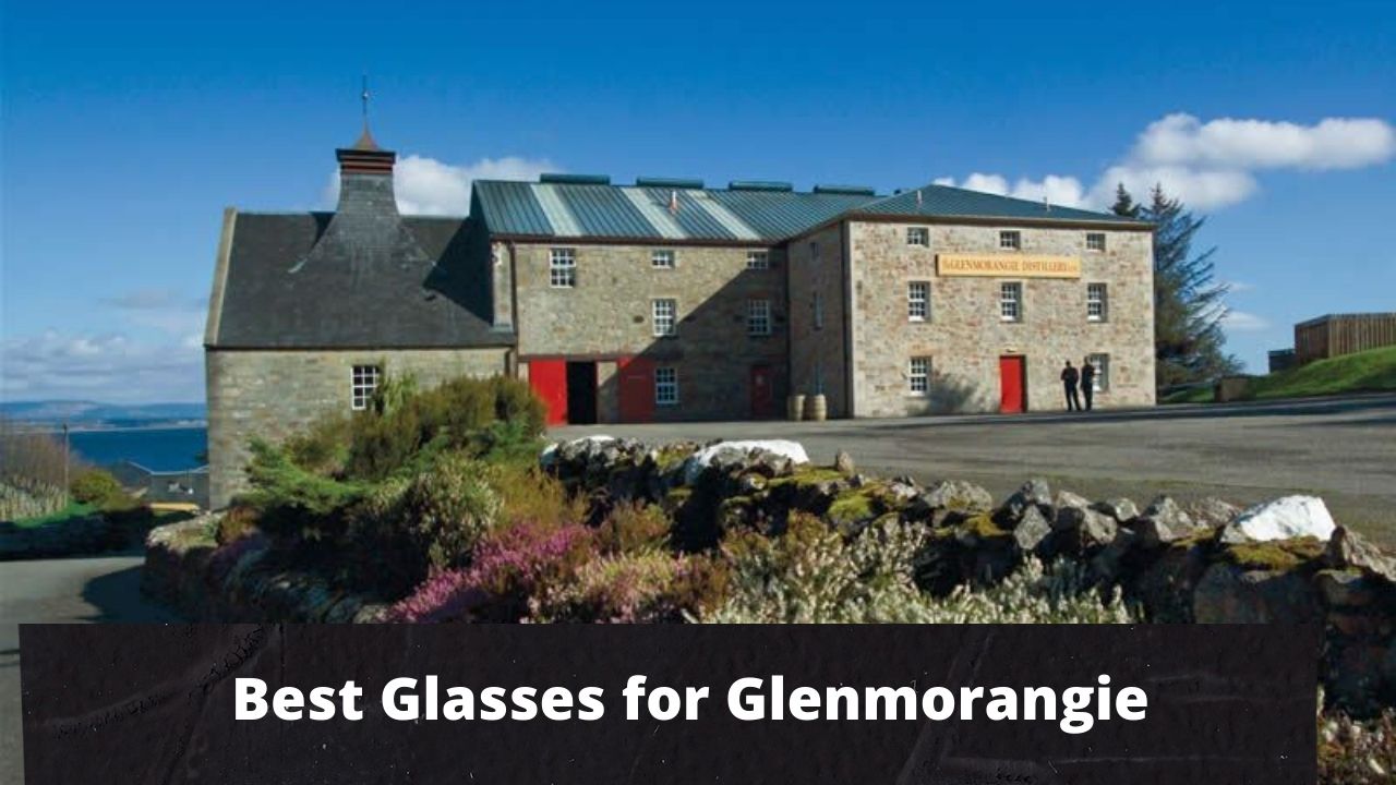 Best Glasses for Glenmorangie