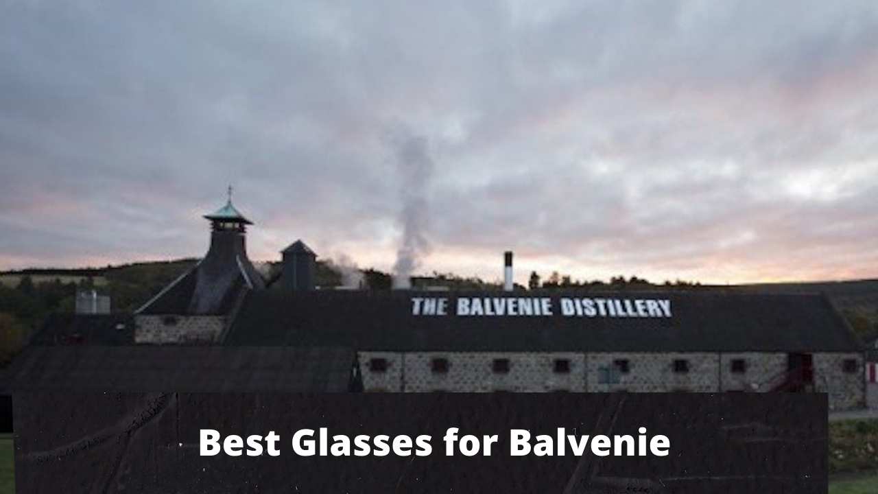 Best Glasses for Balvenie (1)